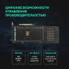 Вид 19